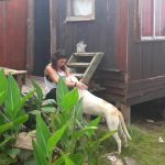 Javier Xofer Y Paula Cuidadora Pareja, Pet sitter in Bigues i Riells