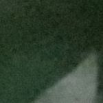 Marcos Prada, Pet sitter in Madrid