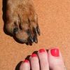 Valentina Iurova, Pet sitter in Pilar de la Horadada
