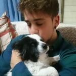 Alvaro Conde, Pet sitter in Zamora