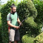 Miguel Ángel García Reina, Gardener in Cádiz
