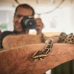 Jose David Vadillo, Fotógrafo en Getafe