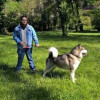 Diego Degl&#039;innocenti, Dog trainer in Valencia