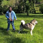 Diego Degl&#039;innocenti, Dog trainer in Valencia