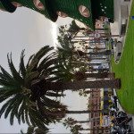 Luis Rosriguez, Gardener in Las Palmas de Gran Canaria