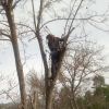 Javier Cid, Gardener in Linares