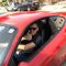 Sandu Iosif Mihele, Xofer privat a Zaragoza