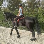 Celia Cegarra, Pet sitter in Cartagena