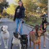 Myriam Galarza, Dog trainer in Cartagena