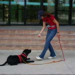 Elisenda Mir Ballo, Dog trainer in Campins