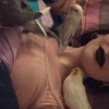 Mar Maloney Cavero, Pet sitter in Cartagena