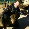 Enrique Manzanares, Ensinistrador de gossos a Madrid