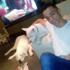 Sebas Hg, Pet sitter in Quart de Poblet