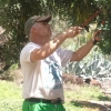 Luis Miguel Gil Martin, Gardener in Las Palmas de Gran Canaria