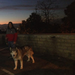 Diego Degl Innocenti, Dog trainer in Valencia