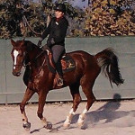 Veronica Anselmi, Horse riding Instructor in Fuente el Saz de Jarama