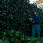 Fernando Jimenez Sanchez, Gardener in Jerez de la Frontera