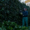Fernando Jimenez Sanchez, Gardener in Jerez de la Frontera