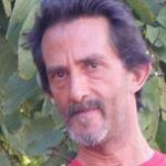 Manuel Bollo, Traductor d'espanyol a anglès a Sevilla