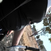 Saray Aly, Gardener in Fuengirola