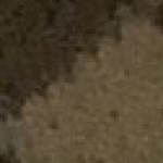 Pablo Chinchilla Rios, Babysitter in Güevéjar