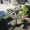 Oscar Salas, Gardener in Rubí