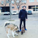 Carlos Valles Gil, Passejador de gossos a Leganés