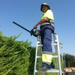 Angel Gualpa Velasco, Gardener in Madrid
