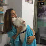 Estela Ríos, Cuidadora de mascotas en Catarroja