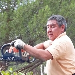 Alvaro Castillo, Gardener in Madrid