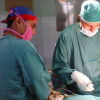 Erick Mondragon, Caregiver of elderly in Basauri
