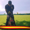 Ivan Morillas, Dog trainer in Huesca