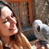 María Paz Ozuna, Pet sitter in Alpedrete