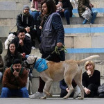 Georgina Gbh, Dog trainer in Banyeres del Penedès