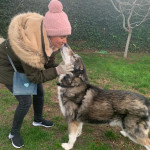 Yaiza De Lezcano Mujica, Pet sitter in Las Rozas de Madrid