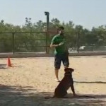 Jorge Fernández, Cuidador de mascotes a Móstoles