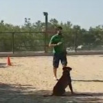 Jorge Fernández, Paseador de perros en Móstoles