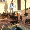 Olga Pérez palacios, Pet sitter in Sevilla