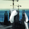 Daniel Conn, Photographer in Barcelona