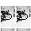 María Encinas, Pet sitter in Córdoba