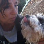 Patricia González, Pet sitter in Elche