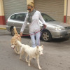 Laura Grela, Pet sitter in Rafelbunyol