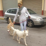 Laura Grela, Pet sitter in Rafelbunyol