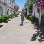 Javier Afonso Cruz, Painter in Las Palmas de Gran Canaria