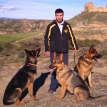 Daniel Lanuza, Dog trainer in Huesca