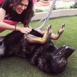 Claudia Torres, Pet sitter in Puerto de la Cruz