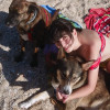 Inés Leyenda, Pet sitter in Moaña
