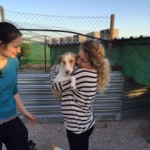 Piedad Cantos Villar, Perruquera canina a La Unión