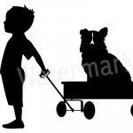 Carmen Expósito Gómez, Transportista de mascotes a Alicante