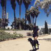 Andrea Gutierrez, Pet sitter in Talavera de la Reina